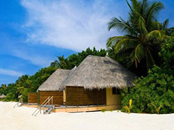 bungalo